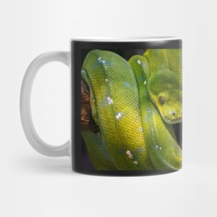 Green Tree Python, Australia Mug